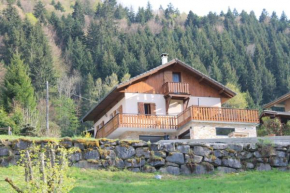 Chalet Avenir